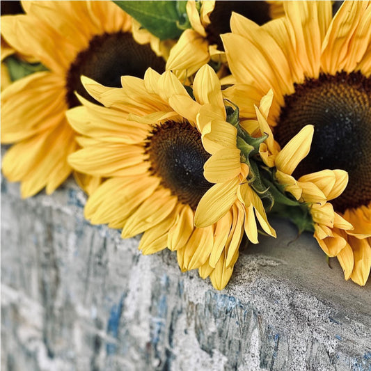 Sunflower Bunch